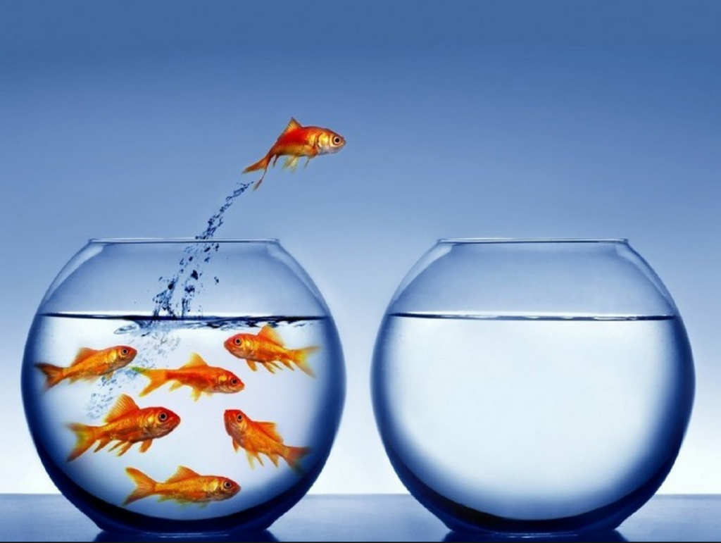 mudanças_novo_apartamento_novo_layout_nova_marca_por_alessandra_faria