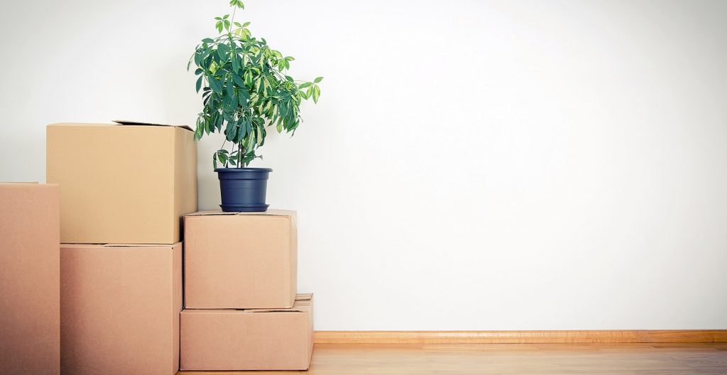 mudanças_novo_apartamento_novo_layout_nova_marca_por_alessandra_faria2