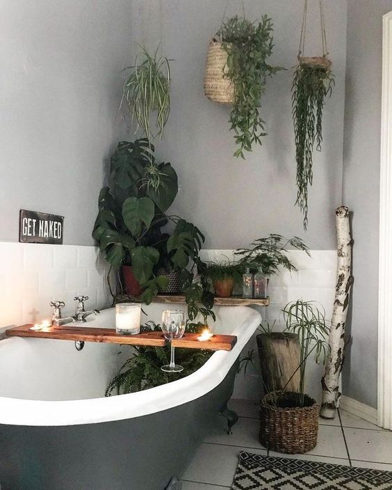 Urban jungle e garden room são tendências em decoração 2020 por Alessandra Faria